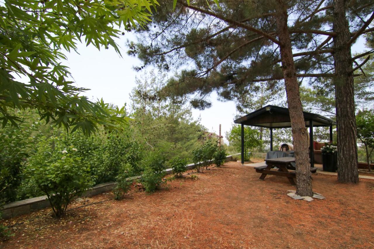 Villa Phaedrus Living: Forest View Luxury Chantara Foini