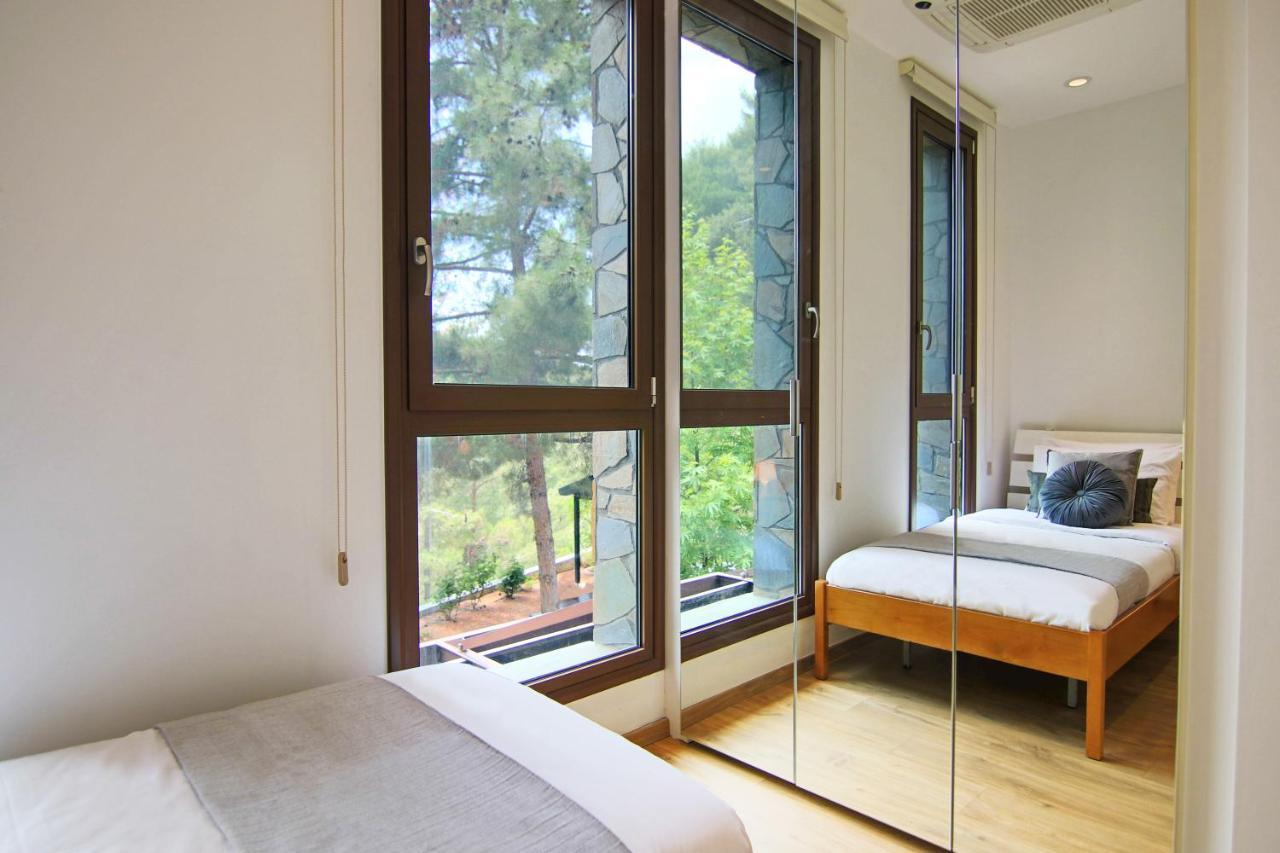 Phaedrus Living: Forest View Luxury Chantara Villa Foini