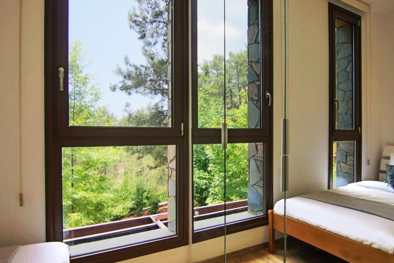 Phaedrus Living: Forest View Luxury Chantara *